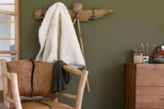 Caqui – Azeitona Sn, Bengal Grass Sw, Sol Caqui Co;