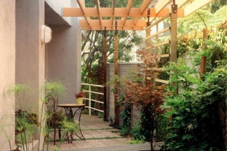 Aqui muitos materiais reutilizados, como essas portas que foram reaproveitadas para completar o cercado.Essa pérgola foi feita pelos próprios moradores.