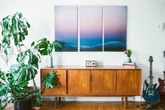 Plantas Dentro de Casa