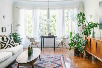 Plantas Dentro de Casa