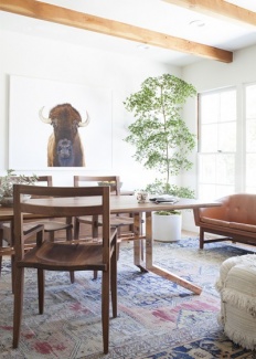 Plantas Dentro de Casa