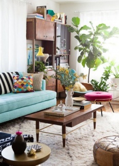 Plantas Dentro de Casa