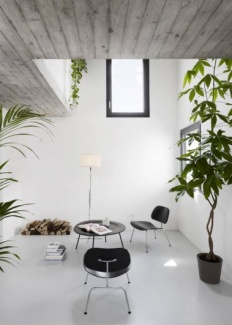 Plantas Dentro de Casa