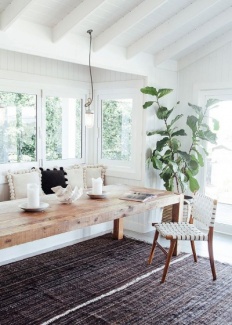 Plantas Dentro de Casa