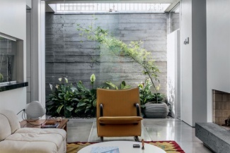 Plantas Dentro de Casa