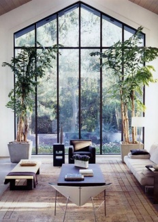 Plantas Dentro de Casa