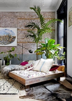 Plantas Dentro de Casa