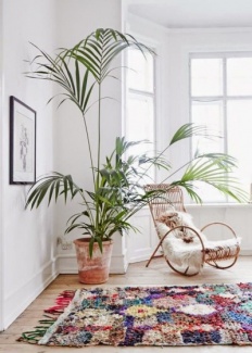 Plantas Dentro de Casa