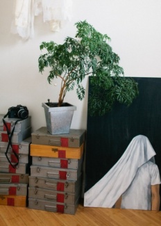 Plantas Dentro de Casa