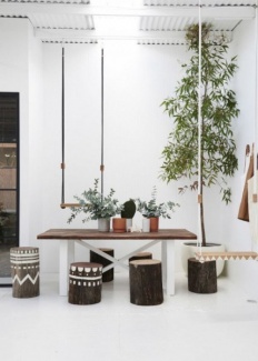 Plantas Dentro de Casa