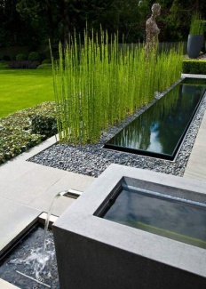 Canto verde inspirador