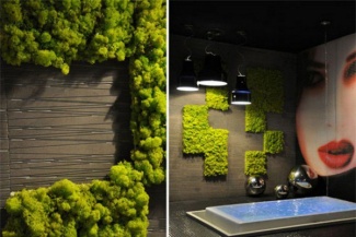 Canto verde inspirador