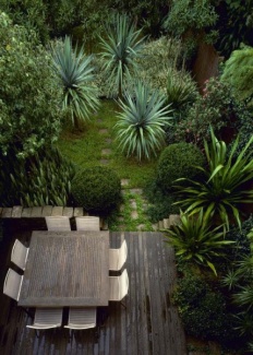 Canto verde inspirador