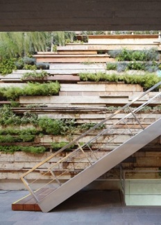 Canto verde inspirador