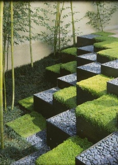 Canto verde inspirador