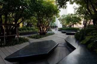 Canto verde inspirador