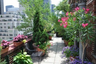 Canto verde inspirador