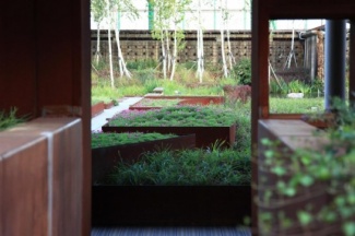 Canto verde inspirador