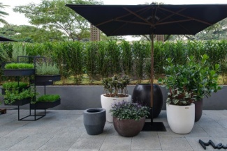 Canto verde inspirador