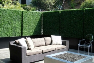 Canto verde inspirador