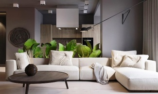 Cinza na Sala de Estar