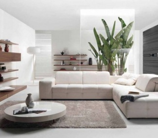 sala clean, com tapete de linha cinza, sofá modulado branco e estantes de madeira, palmeiras para compor.