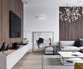 TV na Sala de Estar - Студия Антона Сухарева