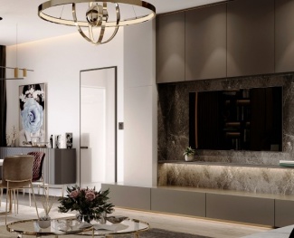 TV na Sala de Estar - Insignia Design Group