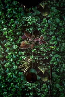 Apartamento Urban Nature