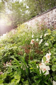 Casa Design - Elizabeth Roberts 