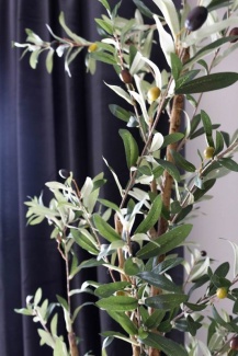 Moderna Suíte Master