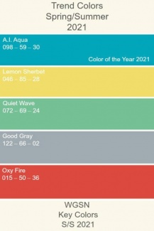 Cores para 2021 - WGSW